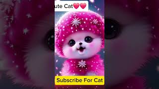 Gucci song 💖💖shortvideo youtubeshorts trandingshorts cute cuteecats [upl. by Leyla68]