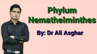 Phylum Nemathelminthes Round Worm in HindiUrdu [upl. by Neyut398]