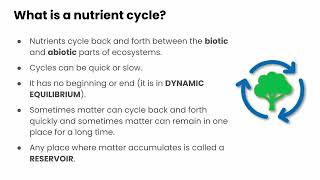 Introduction to Nutrient Cycles [upl. by Landel]