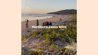 Northern Costa Rica AllLevels Surf With Amigas Retreat [upl. by Barbi]