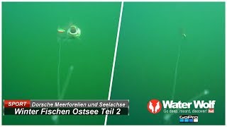 Winterfischen auf Dorsch Meerforelle und Seelachs Teil 2 [upl. by Ahsiekan656]