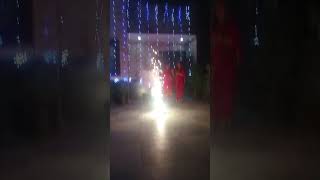 Happy Diwali [upl. by Ettesel]