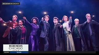 Expelliarmus Check out Harry Potter and the Cursed Child Chatted with actor Larry Yando [upl. by Arobed]