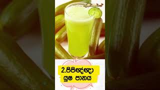 සම පැහැපත් කරන ස්වභාවික පාන වර්ග 08ක් 🤩  08 types of natural skin lightening drinks skincaretips [upl. by Alis]