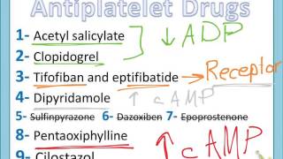 Antiplatelet Drugs part 2 [upl. by Earised]