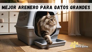 CÓMO ELEGIR EL MEJOR ARENERO PARA GATOS GRANDES 😼 TIPOS DE ARENEROS [upl. by Zobias690]