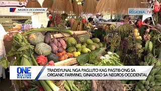 One Western Visayas Tradisyunal nga pagluto kag organic farming ginaduso sa Negros Occidental [upl. by Suk505]