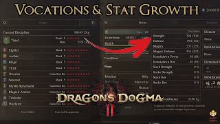 Dragons Dogma 2  Vocations amp Stat Growth [upl. by Zeus]