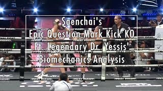 Saenchais Epic Question Mark Kick KO  Biomechanics Analysis [upl. by Oiramd]