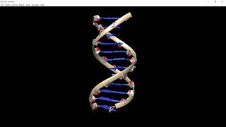 Chimera Tutorial How to Build a Nucleic Acid Duplex [upl. by Andie540]