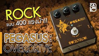 Caline  CP43 Pegasus Overdrive  ม้าเสียงแตก ที่ต้องมีติดบอร์ด [upl. by Effy]