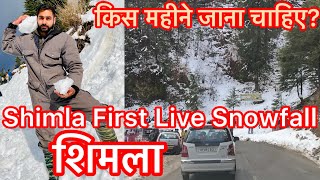 Shimla Live Snowfall First of Season November shimla snowfall trending himachal hills kufri [upl. by Dygert]