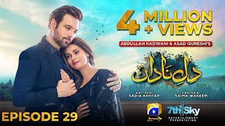 DileNadan Episode 29  Eng Sub  Mikaal Zulfiqar  Amar Khan  Ali Abbas  19th November 2024 [upl. by Ydaj308]