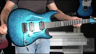 Aristides 060 Deep Blue Sparkle  Seymour Duncan Pegasus  Sentient [upl. by Daveda]