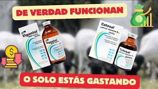 CATOSAL Y VIGANTOL ¿FUNCIONAN Vitaminas para el ganado [upl. by Mongeau]