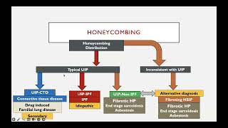 IPF online course  February 2024 Contact WhatsApp at 0020 120 678 4555 for full access link [upl. by Evetta344]