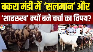 Bakrid 2024  Barmer की बकरा मंडी में Salman और Shahrukh की धूम  N18V [upl. by Saideman56]