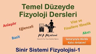 Temel Fizyoloji Dersleri Sinir Sistemi Fizyolojisi1 OrganizasyonSinaptik İletiNörotransmitter [upl. by Dragoon]