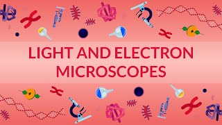 WHAT ARE LIGHT AND ELECTRON MICROSCOPES  HOW DO THEY WORK [upl. by Sublett]