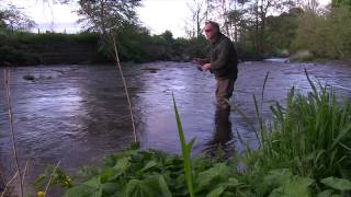 How To Catch Wild River Trout using the Upstream Worming Technique [upl. by Weingartner525]