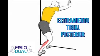 Estiramiento TIBIAL POSTERIOR [upl. by Ranita996]