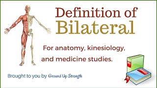 Bilateral Definition Anatomy Kinesiology Medicine [upl. by Aramac248]