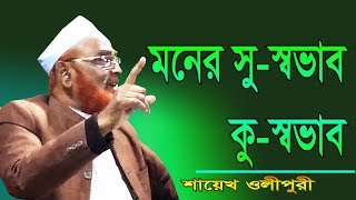 মনের সু স্বভাব কু স্বভাব Allama Nurul Islam Olipuri Bangla Waz 2019 [upl. by Fanni]