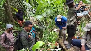 My experience at the Hunters Association of Trinidad amp Tobago Annual Agouti Field Trial [upl. by Spatola612]