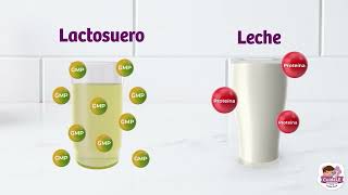 ¿Cómo detectar la leche adulterada con lactosuero [upl. by Cosenza]