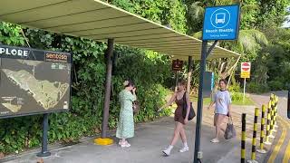 Tour of Sentosa Island  Singapore [upl. by Hegyera]