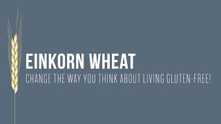 Einkorn Wheat Change the Way You Think About Living GlutenFree [upl. by Handal]