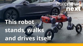 Watch This fourlegged robot on wheels can walk on two feet and drive itself [upl. by Peonir]