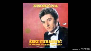 Seki Turkovic  Pevacu ti tuznu pesmu  Audio 1985 [upl. by Akinyt743]