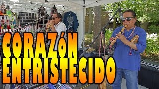 Corazón Entristecido  Sanjuanito  Ecuador  Musica Andina [upl. by Airotna]