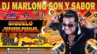 Siguelo  que se sepa  Gerardo Rosales y el Combo Mundial  DJ Marlong Son y Sabor [upl. by Nnanaej897]