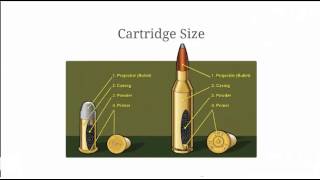 Bullet Comparison  Calibers and Bullet Measurements Explained [upl. by Kuska]