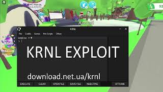 KRNL Fix 2024 Actually KRNL  New Beta Version [upl. by Acemat271]