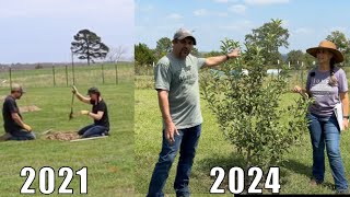 3 Years LATER A FULL Orchard Tour [upl. by Einaffets]