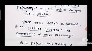 How Pepsinogen is Converted in to pepsin Ch16 Digestion CLASS 11 BIOLOGY [upl. by Ameerak875]