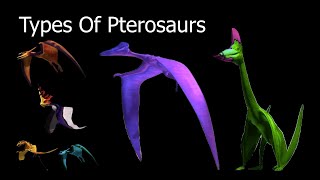 Types Of Pterosaurs [upl. by Ayala]