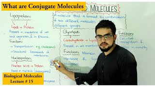 conjugated molecules  Lipoprotein Glycolipid Glycoprotein Nucleoprotein [upl. by Latreece394]