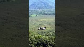 Cratera formada por queda de METEORO em UBATUBA  SP I dronesampa [upl. by Ellivro]