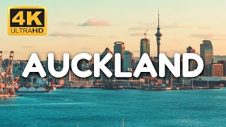 Auckland New Zealand 2024  Full Travel Guide [upl. by Gilud388]