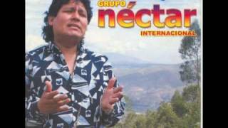 cerveza ron y nectar  GRUPO NECTAR [upl. by Latihs]