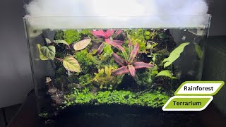 Rainforest Terrarium full steps [upl. by Nauht]