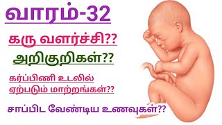 Week 32 32th Week of Pregnancy in Tamil 32 Week Pregnancy symptom 32 வது வாரம் குழந்தை வளர்ச்சி [upl. by Greenleaf]