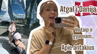 Vlog🌸Apie antakius🤨Va taip ir gyvenam😅Atgal į Daniją🫣🚘 [upl. by Tobye559]