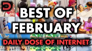 Best Of Daily Dose Of Internet  February Edition One Intro Only [upl. by Arihat52]