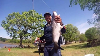 catfishing at lake tawakoni walnut cove [upl. by Ennovihc]