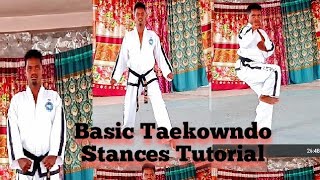 ITF Taekwondo Stances Tutorial [upl. by Eam]